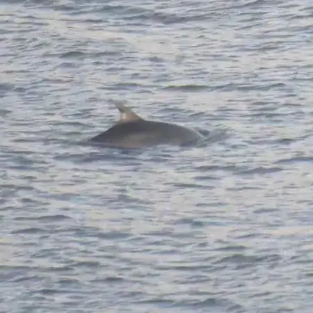 Stunning Sea View 2 Bedroom Flat In Apartamento