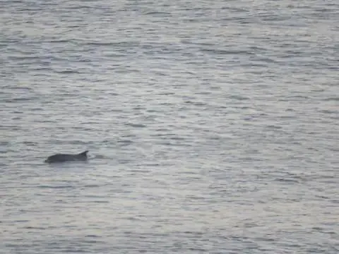 Lägenhet Stunning Sea View 2 Bedroom Flat In *