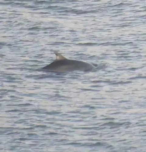 Stunning Sea View 2 Bedroom Flat In Lägenhet