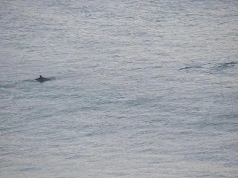 Stunning Sea View 2 Bedroom Flat In * Scarborough