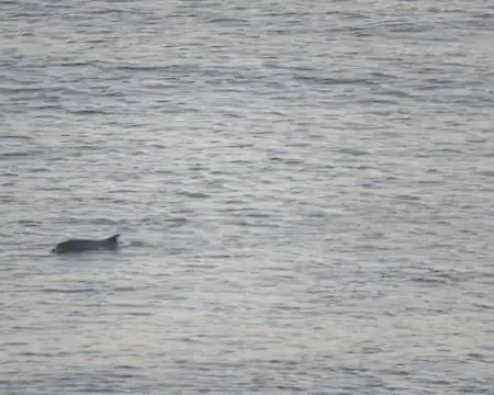 アパート Stunning Sea View 2 Bedroom Flat In *