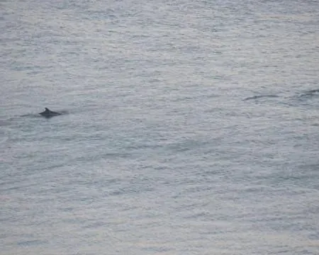 Stunning Sea View 2 Bedroom Flat In * スカーバラ